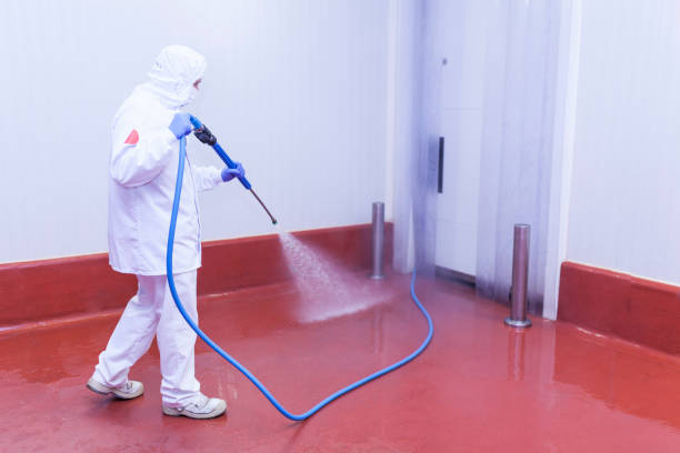 Best Sidewalk and Walkway Cleaning  in North Pearsall, TX