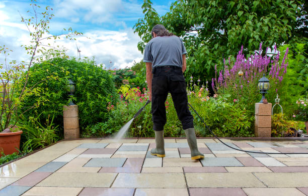 Trusted North Pearsall, TX Pressure Washing Services Experts