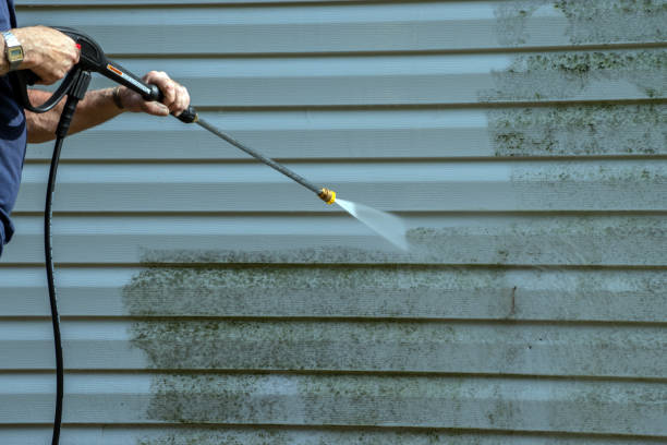 Animal Enclosure Cleaning in North Pearsall, TX