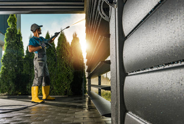 Solar Panel Cleaning in North Pearsall, TX