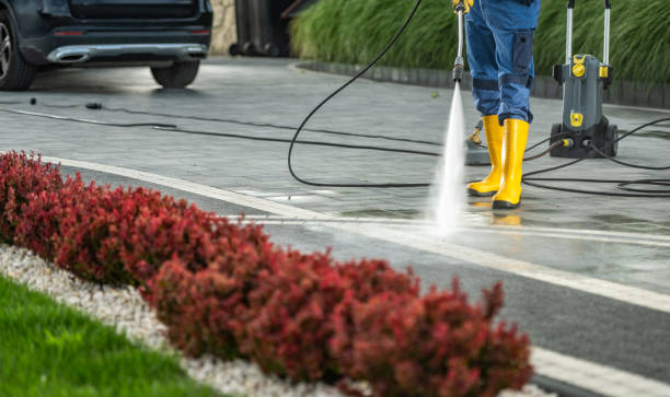 Best Building Exterior Washing  in North Pearsall, TX