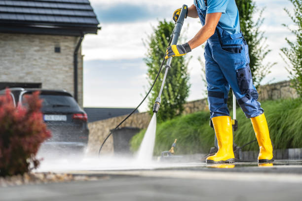 Best Soft Washing  in North Pearsall, TX